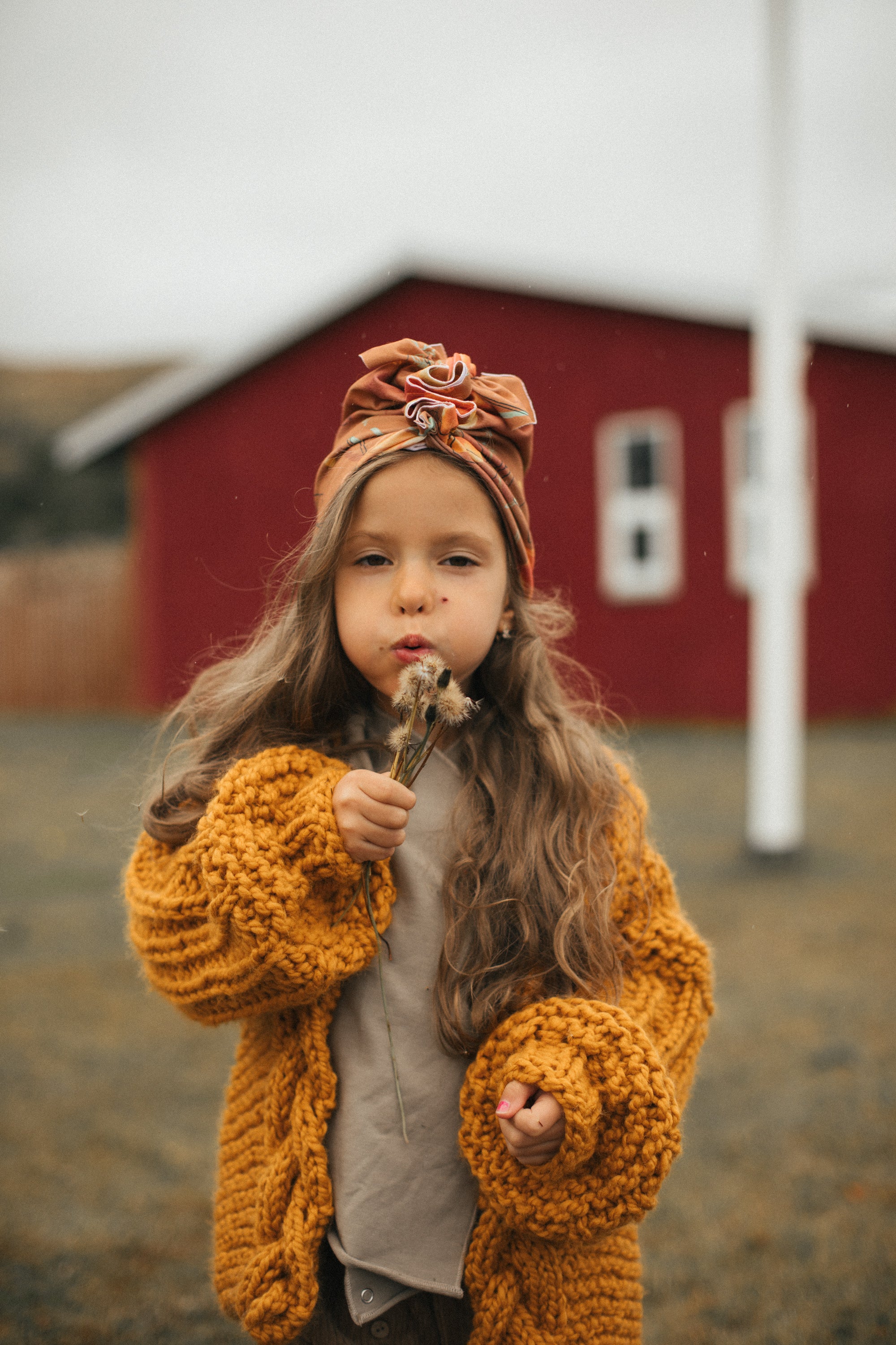 Turban No.1 Iceland Poppies